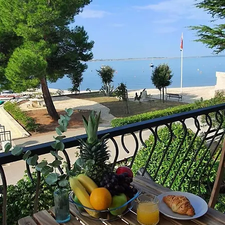 Sunset Lagoon Mulo *