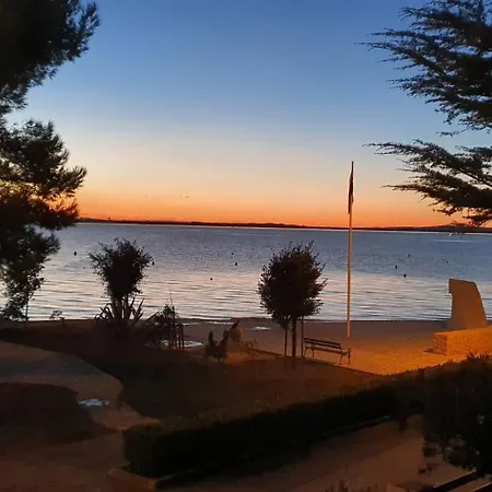 Sunset Lagoon Mulo