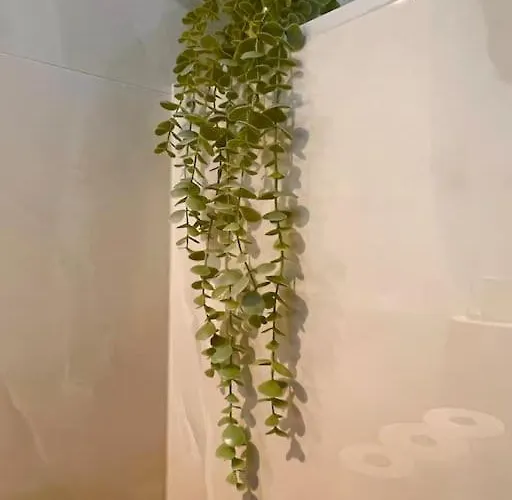 Sunset Lagoon Mulo Апартаменты Врси